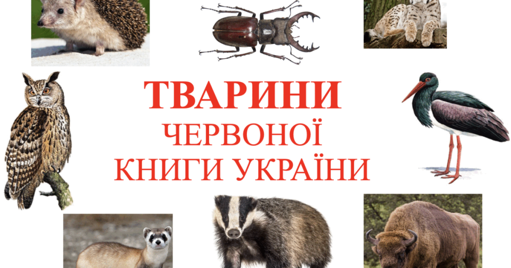 Тварини з Червоної книги України