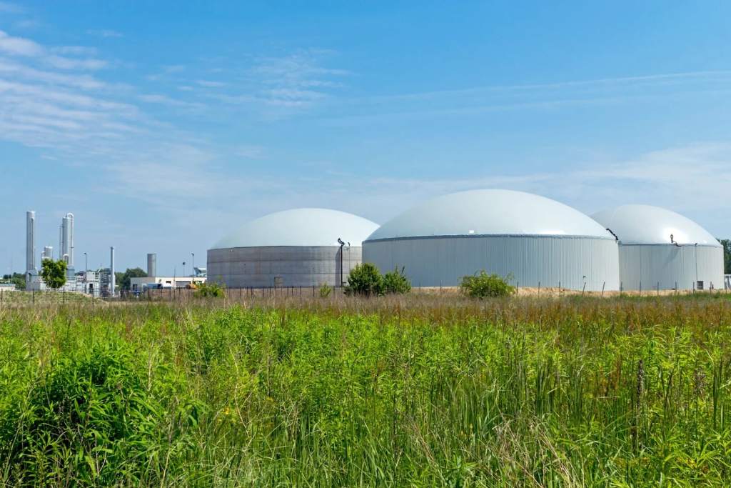 Біогаз утворюється з різноманітної сировини